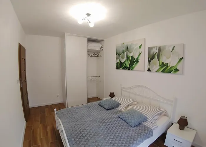 Cienista An Apartment *